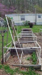 Trellis System With Raised Beds